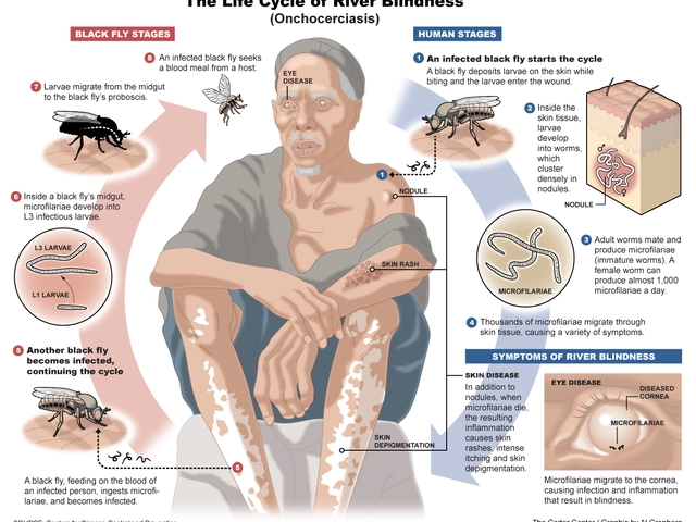 The Role of Ivermectin in River Blindness Eradication Programs
